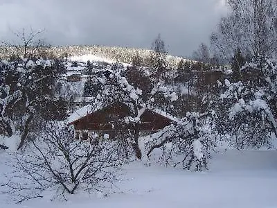 Ferienwohnung In Bayerisch Eisenstein Mit Garten 0*,  Germany