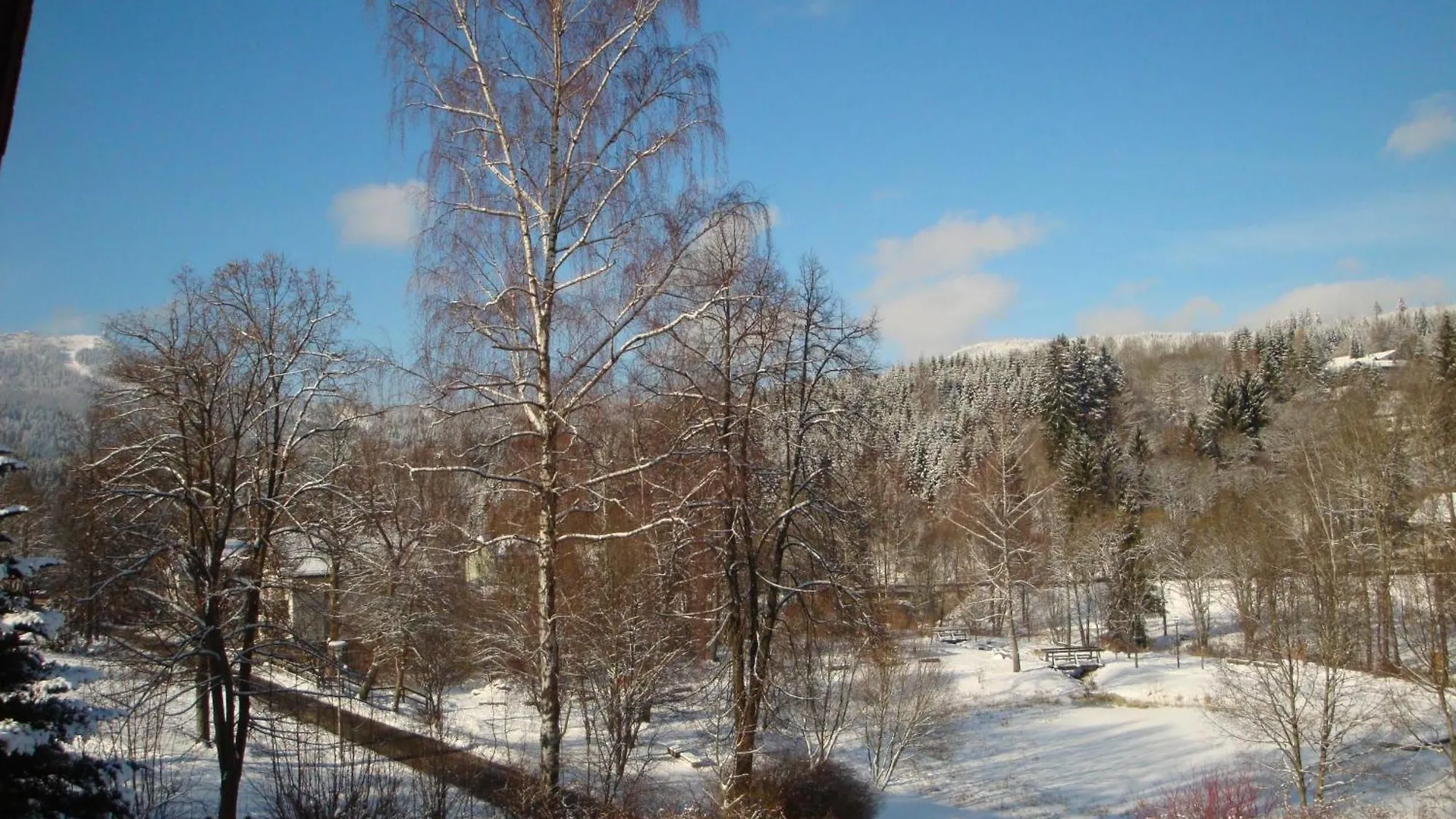 Ferienwohnung In Bayerisch Eisenstein Mit Garten 0*,